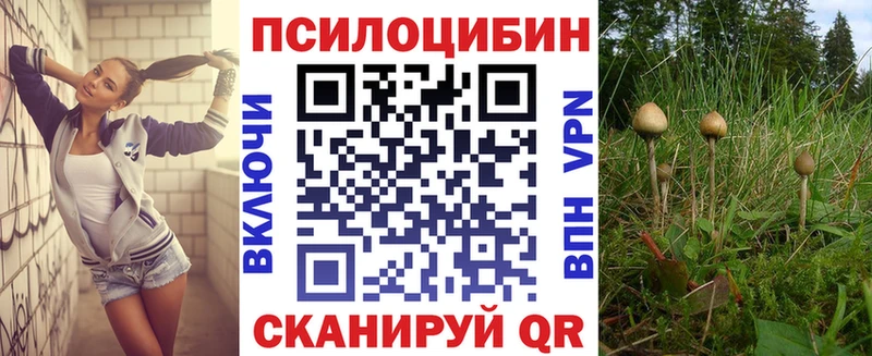 Псилоцибиновые грибы MAGIC MUSHROOMS  Козельск 